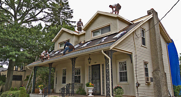 Best Roof Maintenance Services  in Belmont, CA