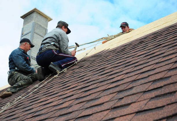 Roof Gutter Cleaning in Belmont, CA